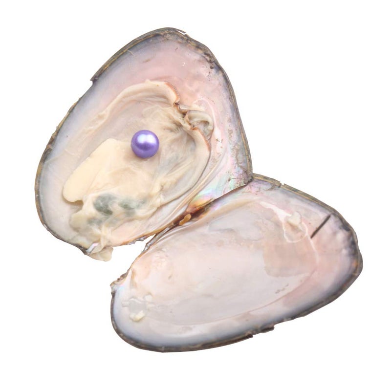 JNMM Freshwater Pearl Oyster Cultured Love Wish Round Pearls Various 10 Shining Meaningful Color, Oysters with Pearls Inside (6-8mm, 10 PCs/lot) - Image 3